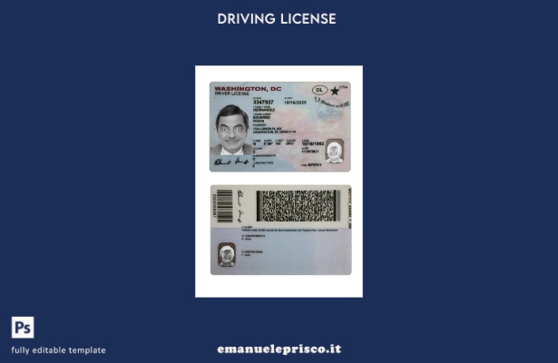 verified style modello di patente di guida USA Washington DC in stile verificato template